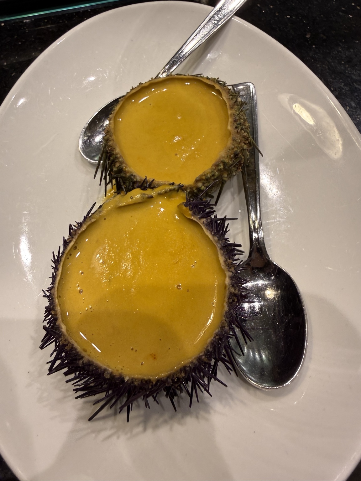 Sea urchin cream at Bar Sport